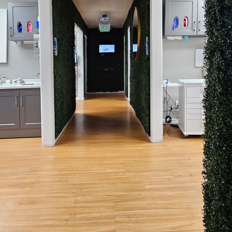 Project Dental studio commercial flooring, Littleton, Colorado ' image - ' 5