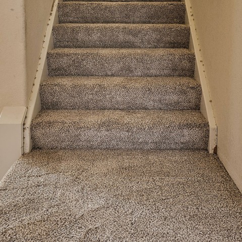 Project Carpet replacement bedrooms, stairs, Castle Pines, Colorado ' image - ' 6