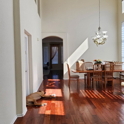 Project Living room renovation, flooring, rest area, dining area, fireplace, Castle Pines, Colorado ' image - ' 6